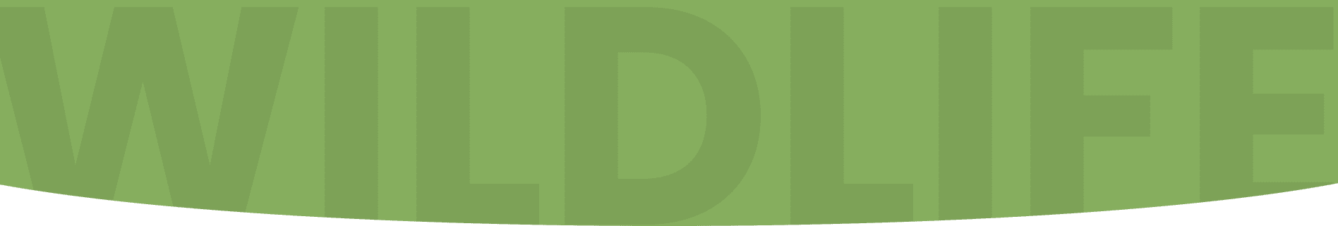 A green letter d with the letter 'd ' in front of it.